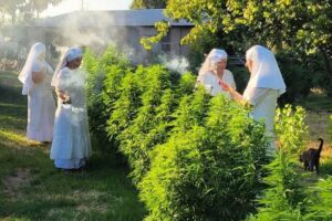 Meet the nuns who inspired Paul Thomas Anderson – 10/11/2025 – Illustrated