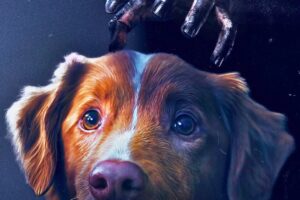 the movie that took three years to shoot and that, if you have a dog, will destroy you (for the better)