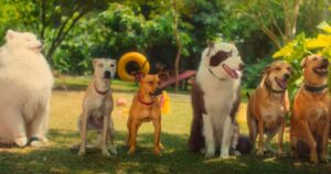 What happened to the dogs that appeared in the movie Caramelo?