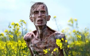 see film and series premieres