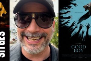 An exercise in empathy that transforms the look of a dog into a unique film. Why ‘Good Boy’ “redefines contemporary horror cinema”