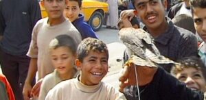 5 films about the conflict highlighted at the São Paulo Film Festival