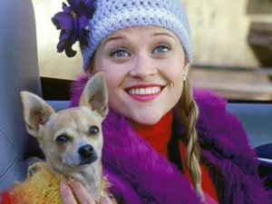 7 best comedy movies to watch on HBO Max