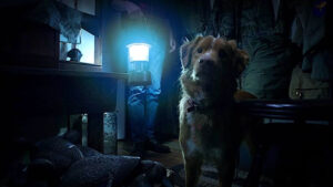 Review of “Good Boy”, a film by Ben Leonberg with (the dog) Indy
