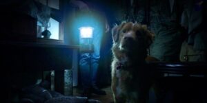 ‘Good boy’, the film in which the dog is no longer the best friend of man, but of the paranormal