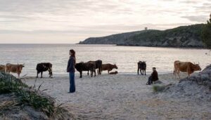 The splendid locations in Sardinia where they filmed Life goes like this
