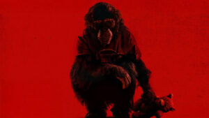 10 HORROR FILMS to keep an eye on at FESTIVAL DO RIO 2025